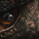 Eyes up, big G.